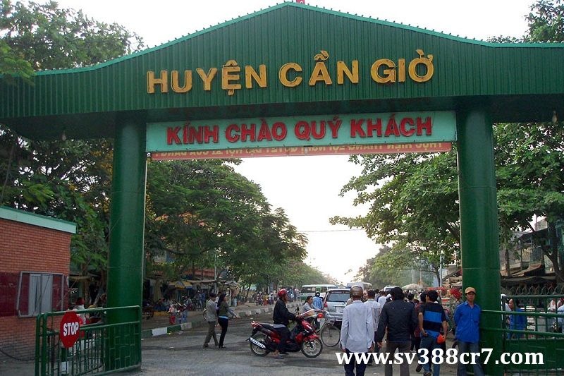 Công an huyện Cần Giờ đã phối hợp thành công với Công an TP. Hồ Chí Minh triệt phá tụ điểm đá gà
