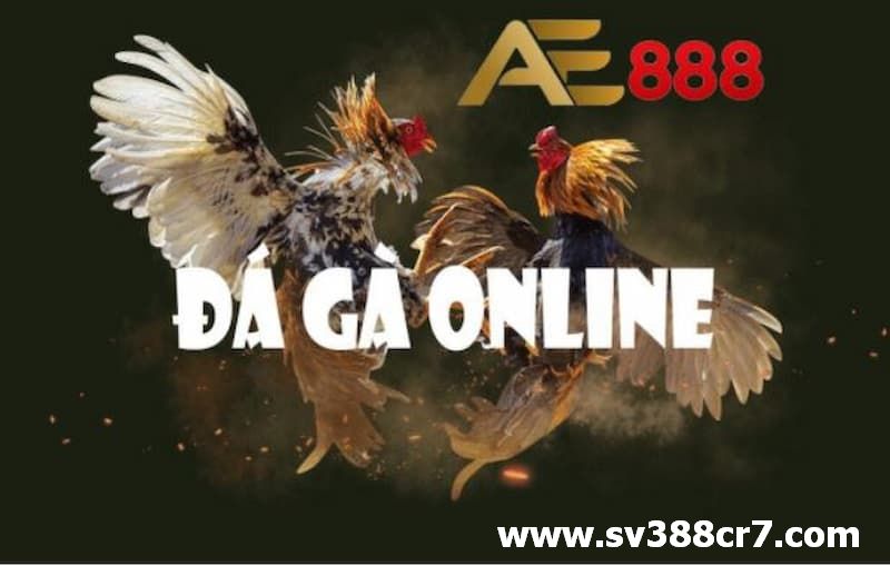 Xem đá gà online tại AE888