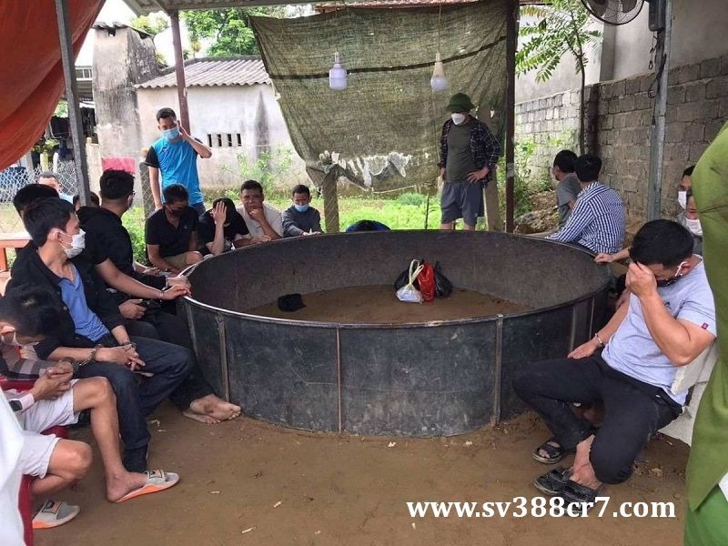 Các đối tượng bị bắt quả tang tại trận khi đang tiến hành tổ chức đá gà ăn tiền giữa đồi chè tại huyện Con Cuông, tỉnh Nghệ An