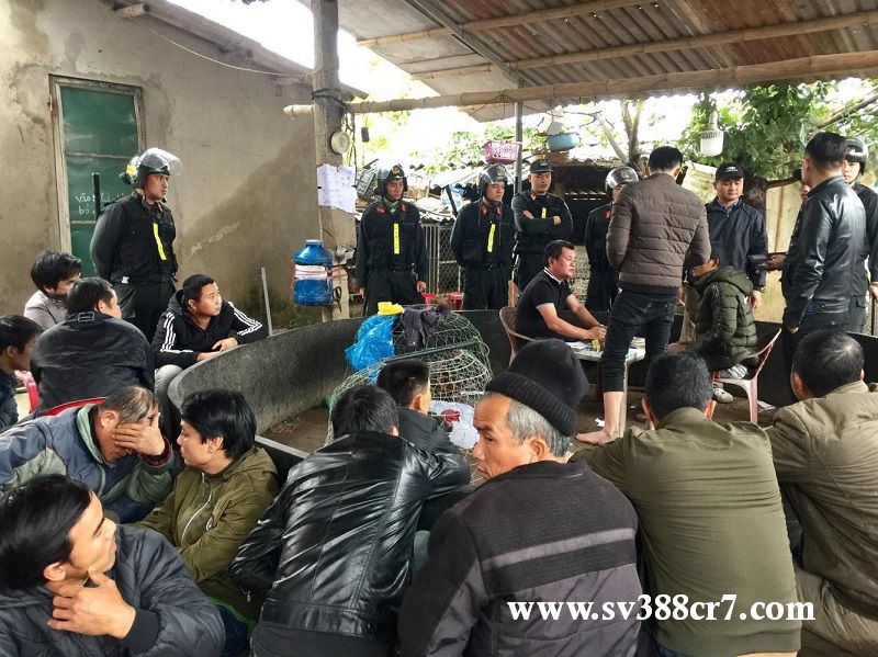 Việc liên tục các tụ điểm đá gà bị phát hiện đã gióng lên hồi chuông báo động về tình hình vấn nạn tại tỉnh Quảng Trị